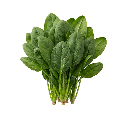 Espinafre