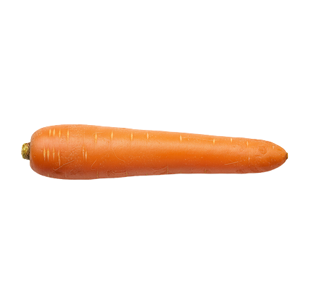 Cenouras